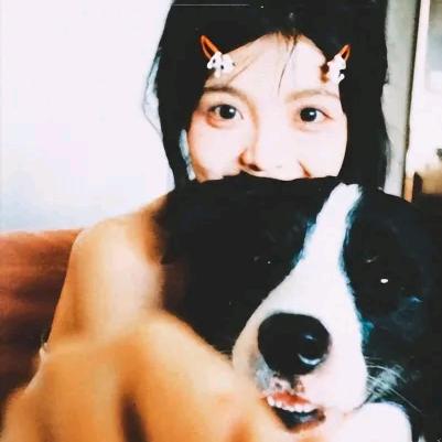 塔塔十慧慧---慷臻健康管理