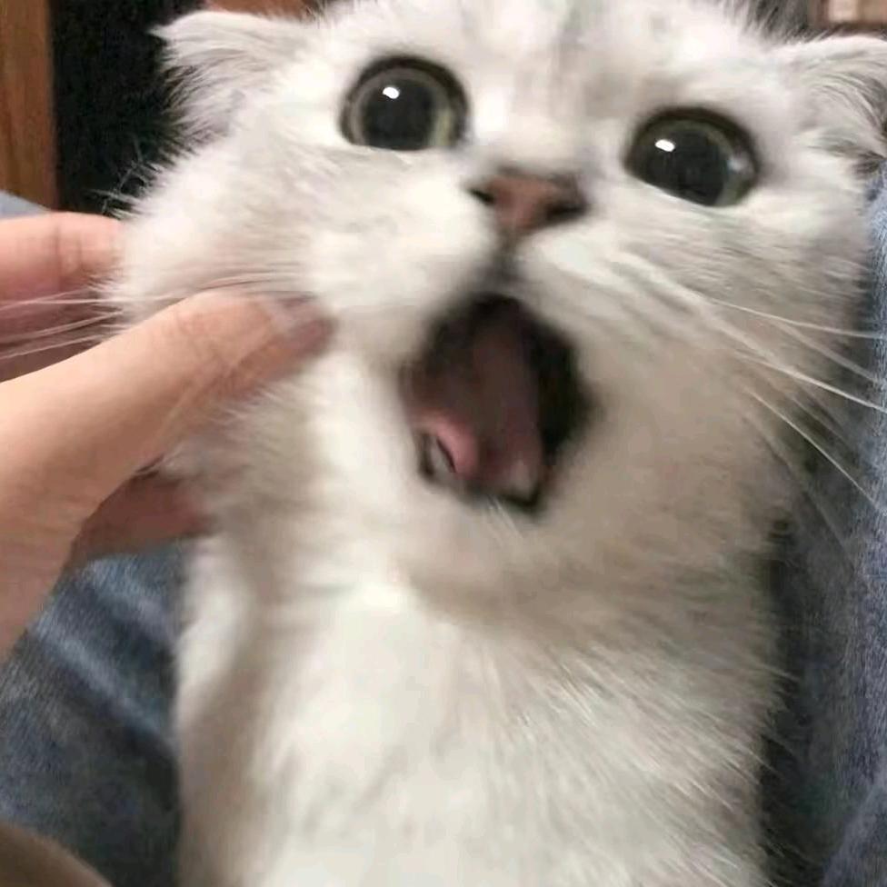 有点睡不醒