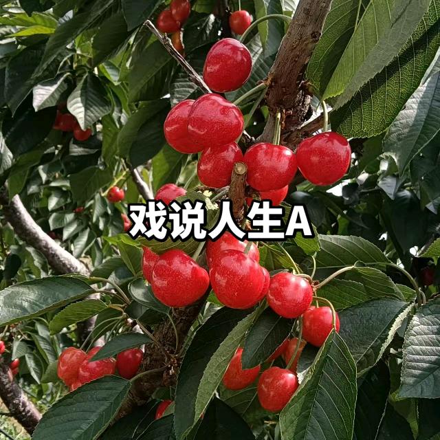 陈永芹