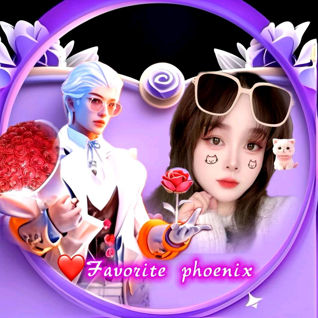 ❤️Favorite phoenix