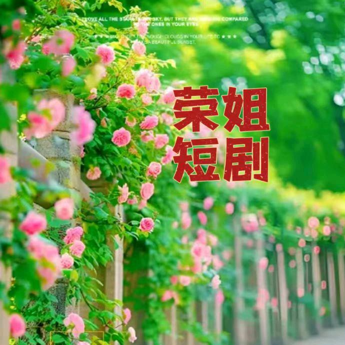 荣姐短剧