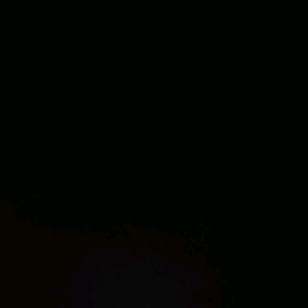 朱海