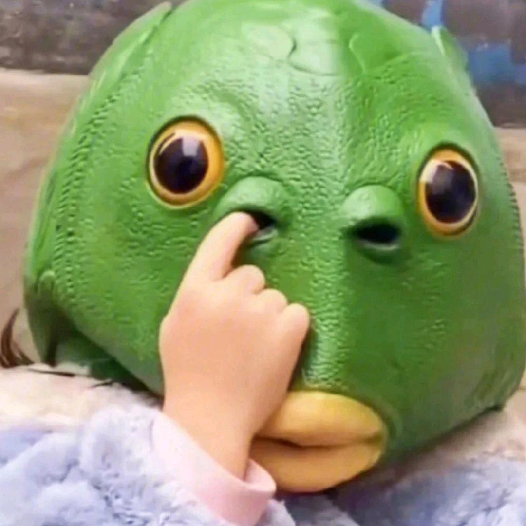 苏格拉没有底🦁🐰