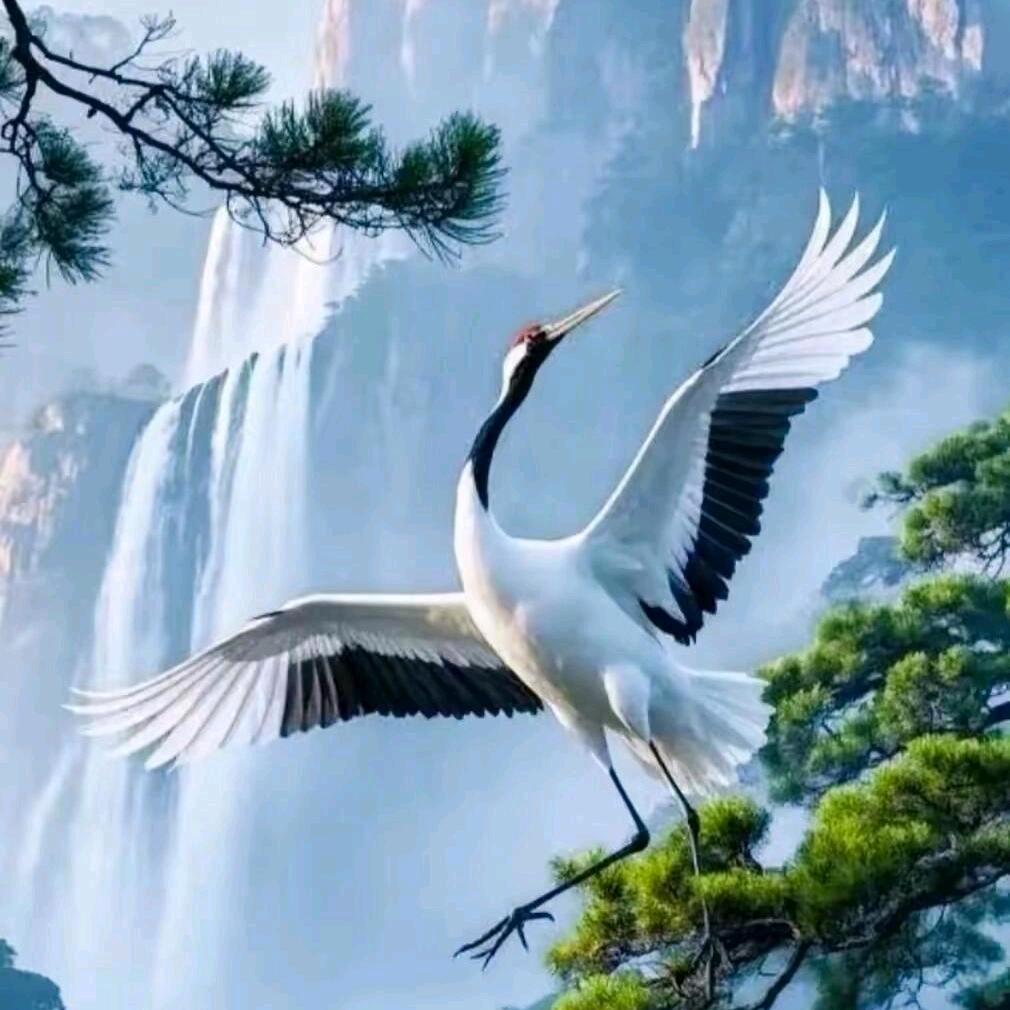 White Crane