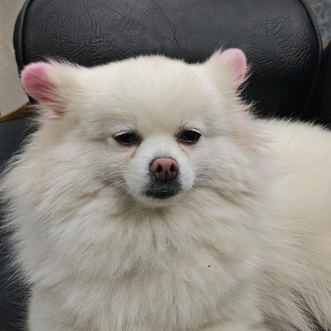 小静分泌多巴胺💪
