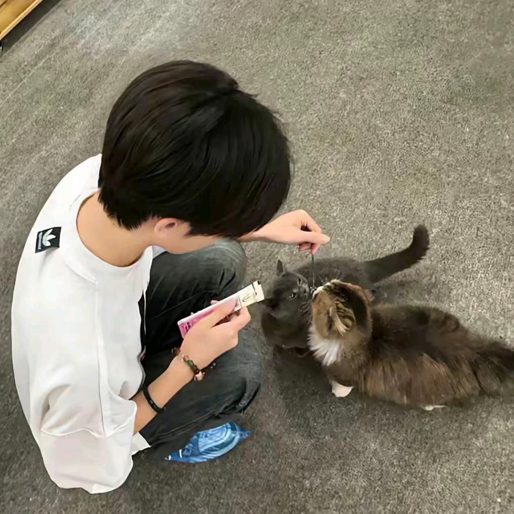 穆𝓗.❤️
