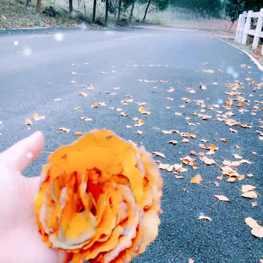 随风…