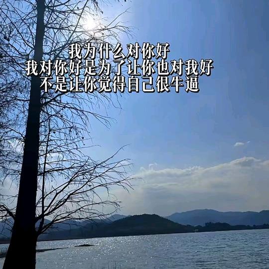 兔兔