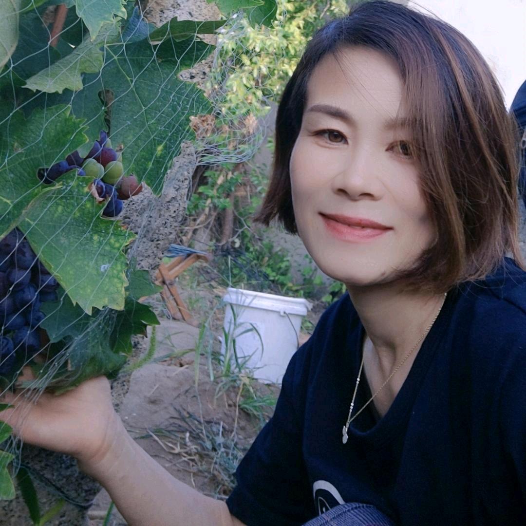 黄城三联智能美的小电马梅红