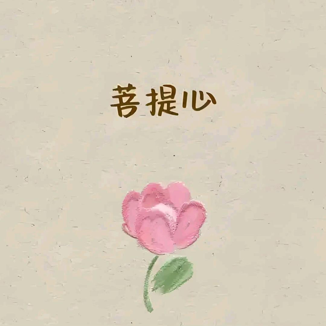 精诚养车比亚迪盐城东台小陈