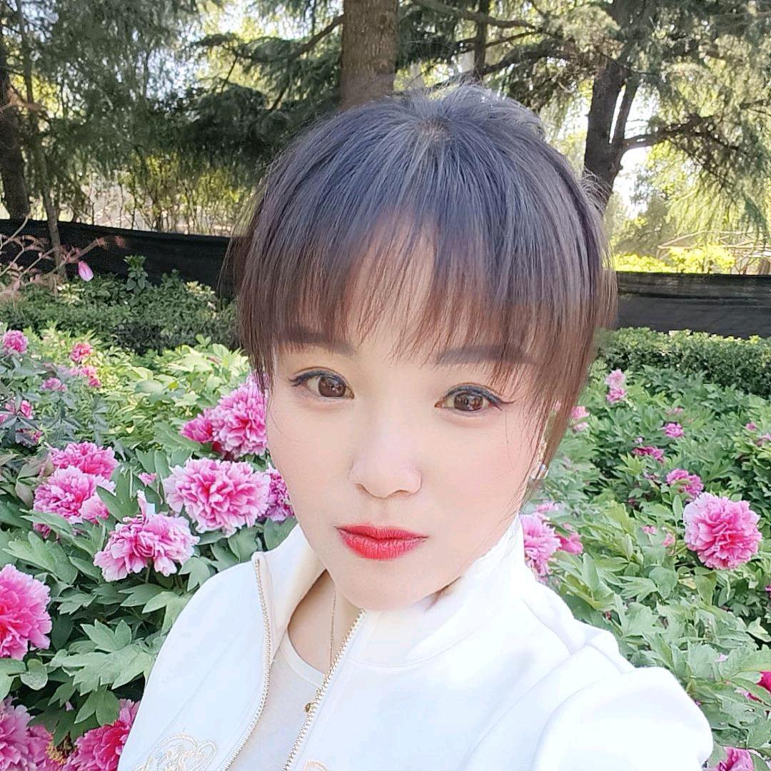 🌻姗姗