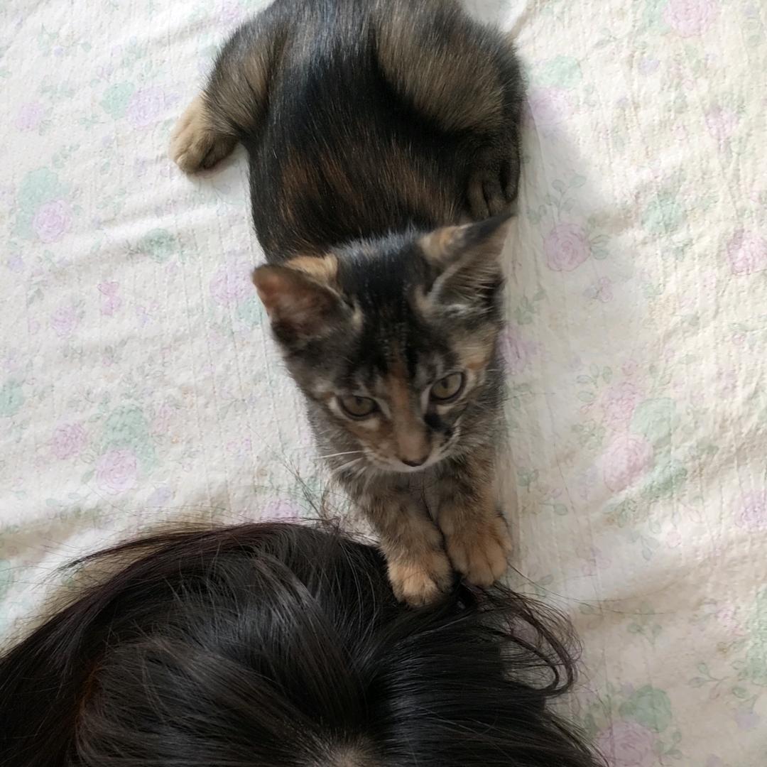 小满看好房