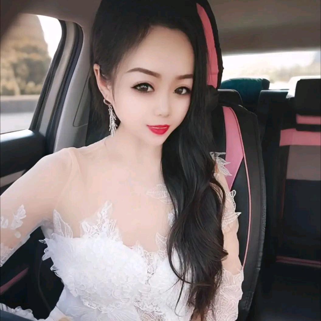 燕儿飞飞