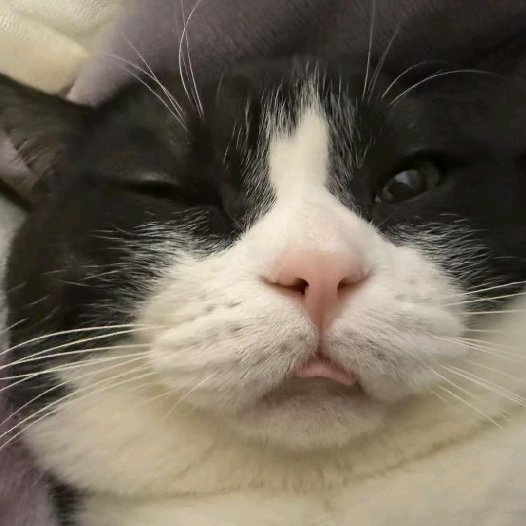 小海（游戏乱斗）