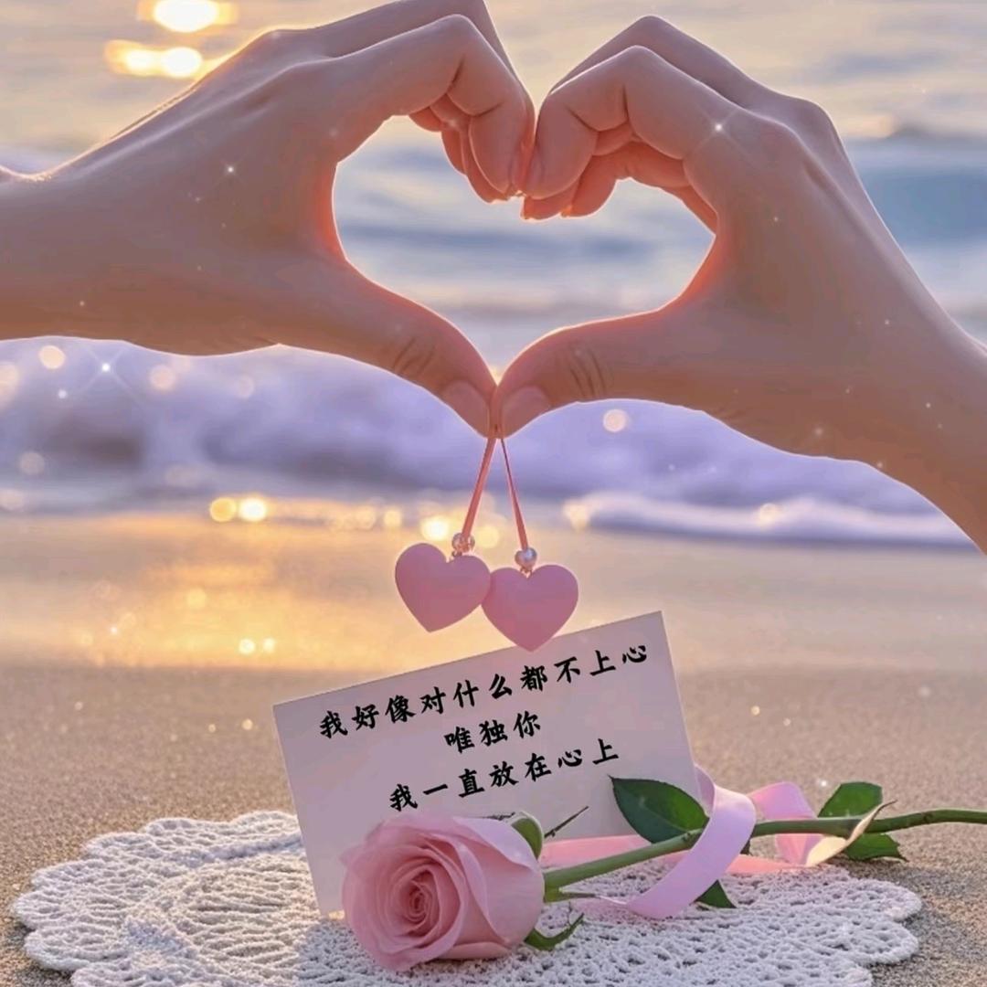 🎀樱花恋人🎀