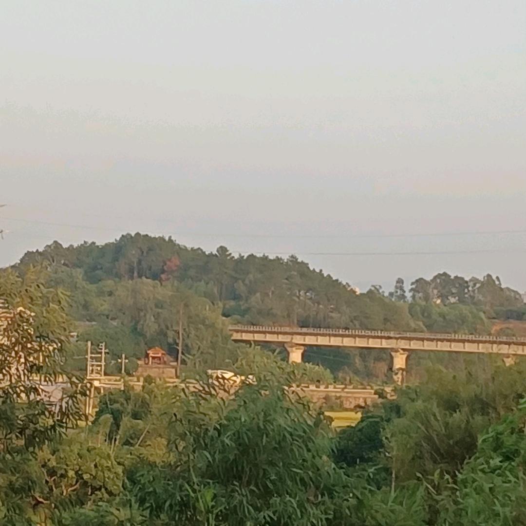 平平淡淡才是真