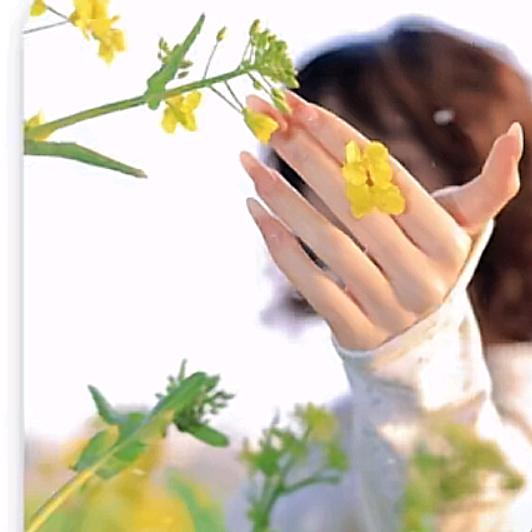 ℘࿐ᩚ淡🍭若℘࿐ᩚ