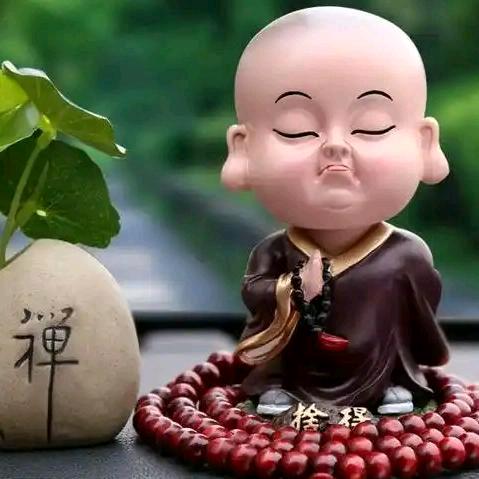 忆缘启航