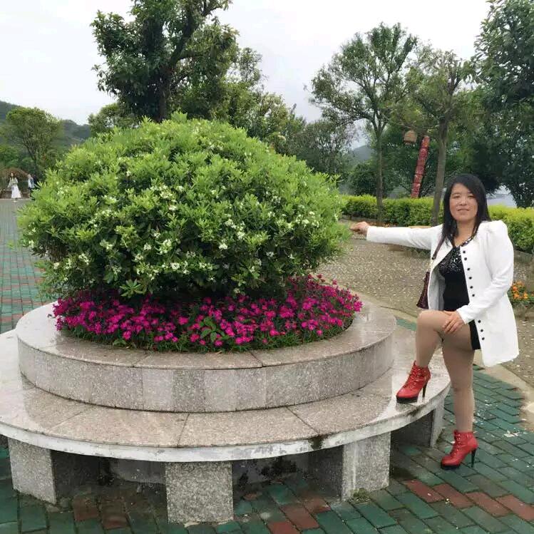 依恋佳人
