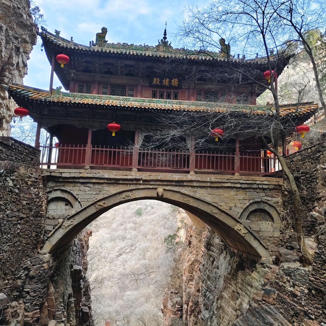 楼楼