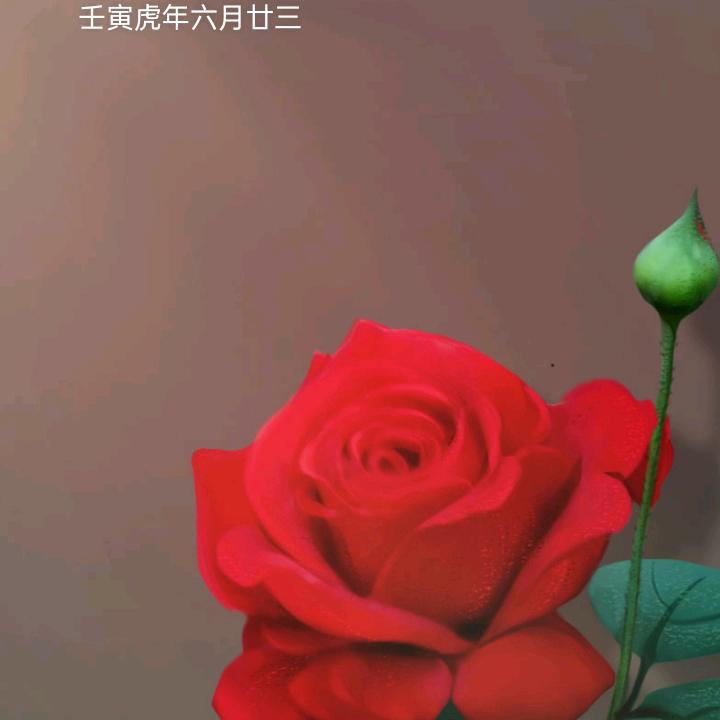幽兰静雅