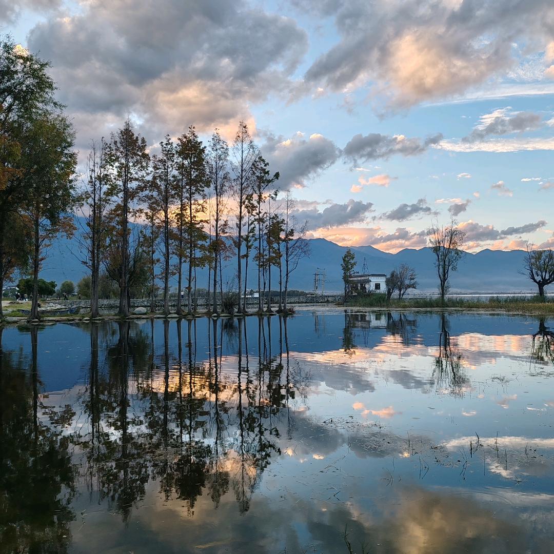 ღ᭄玉兔捣药꧔ꦿ᭄💞