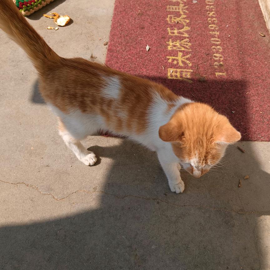 小