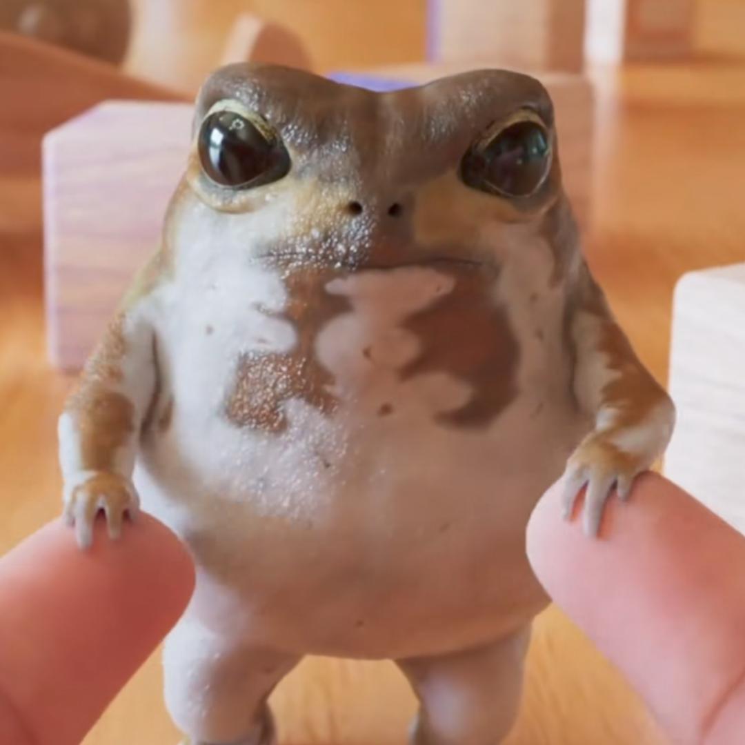 樱桃🍒小完犊子