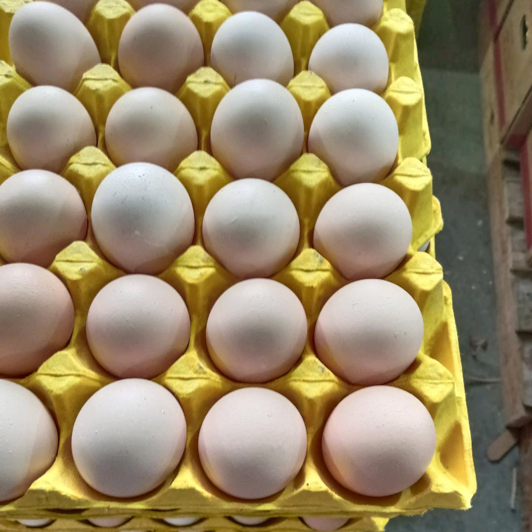 五和楚天#产区发货