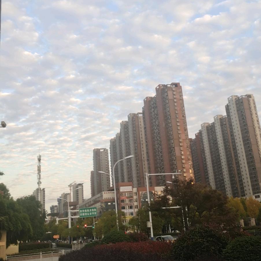 王中明