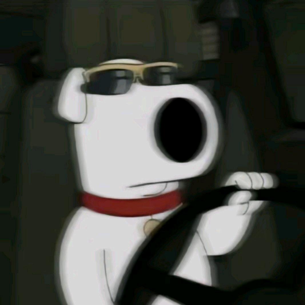 cool狗