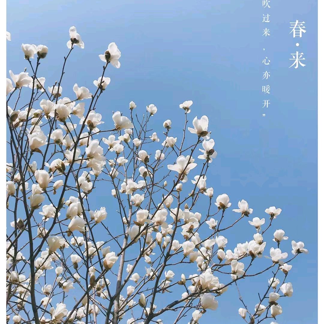 恒星