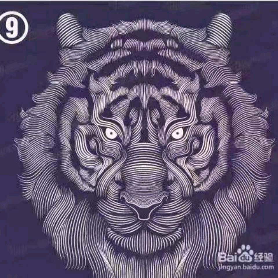 二飞