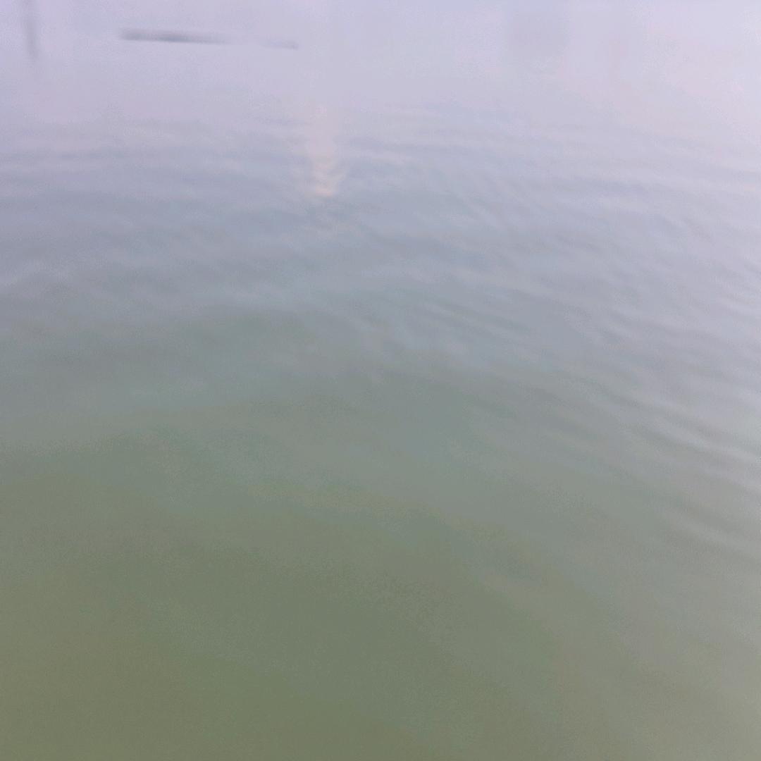 炫酷