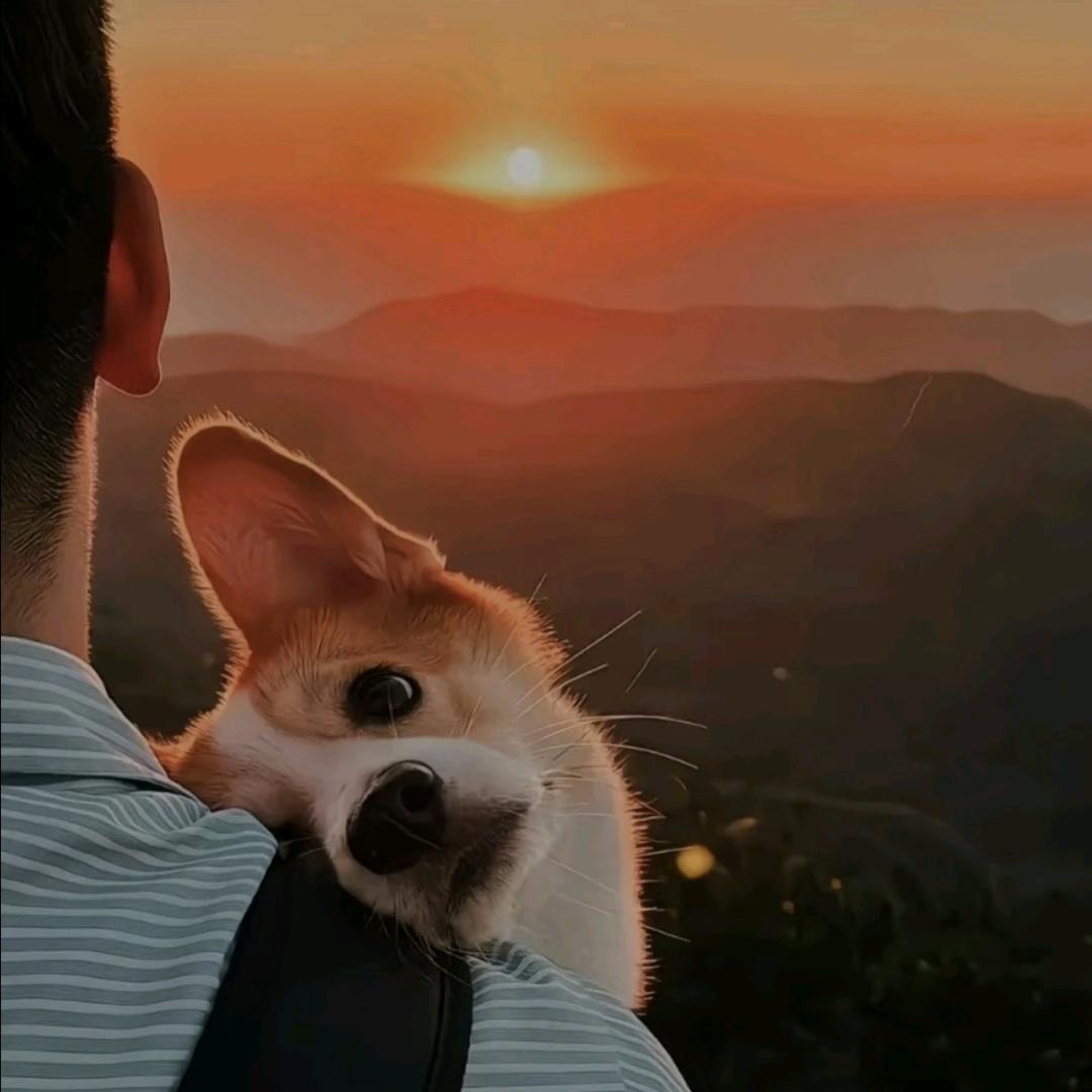 晓天