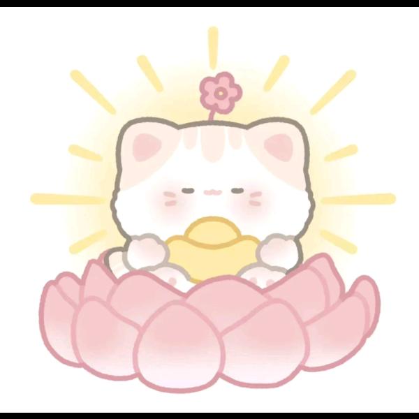 丽小乖