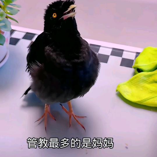 心疼自己，