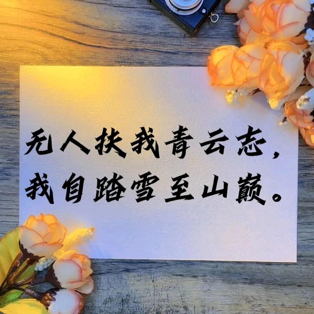 《珠$姐》