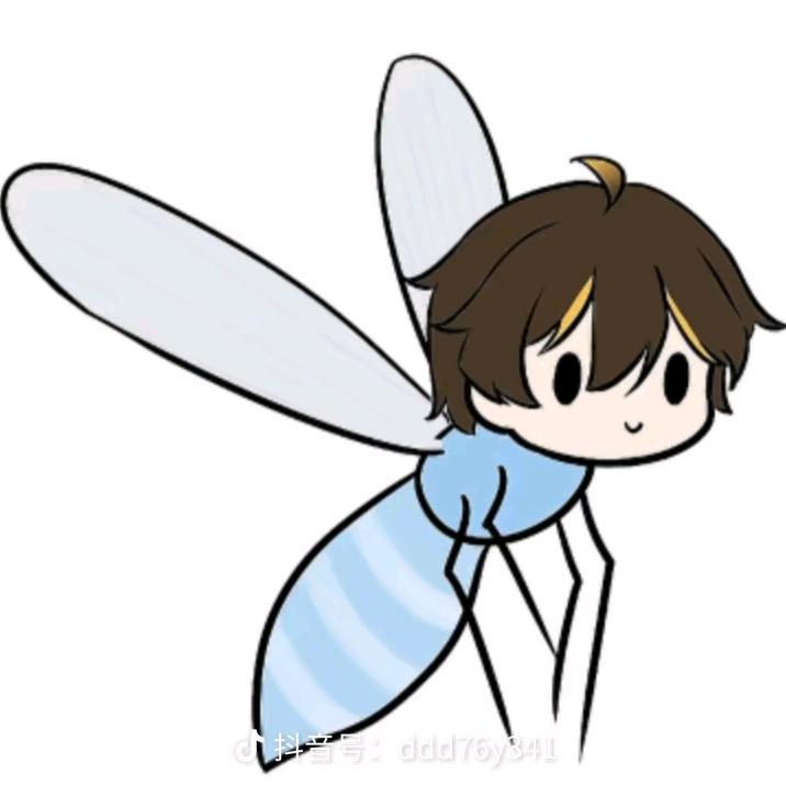 蓝桉树