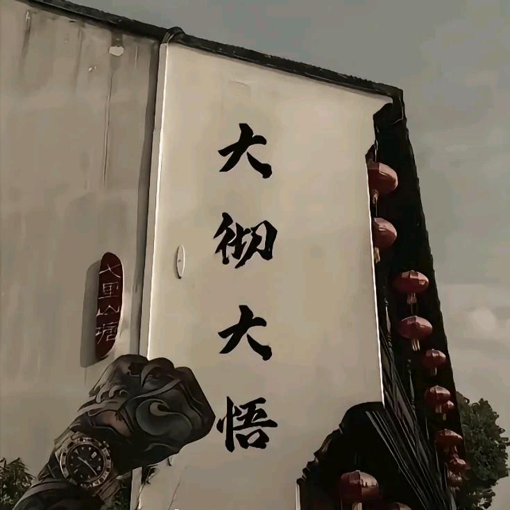 晓飞哥呀！在越南🇻🇳
