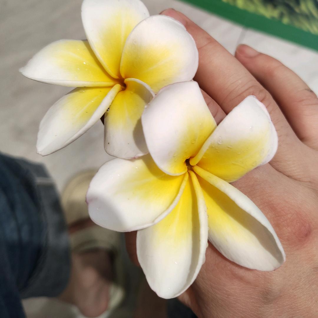 ꧁💞多财❣多亿💞᭄꧂