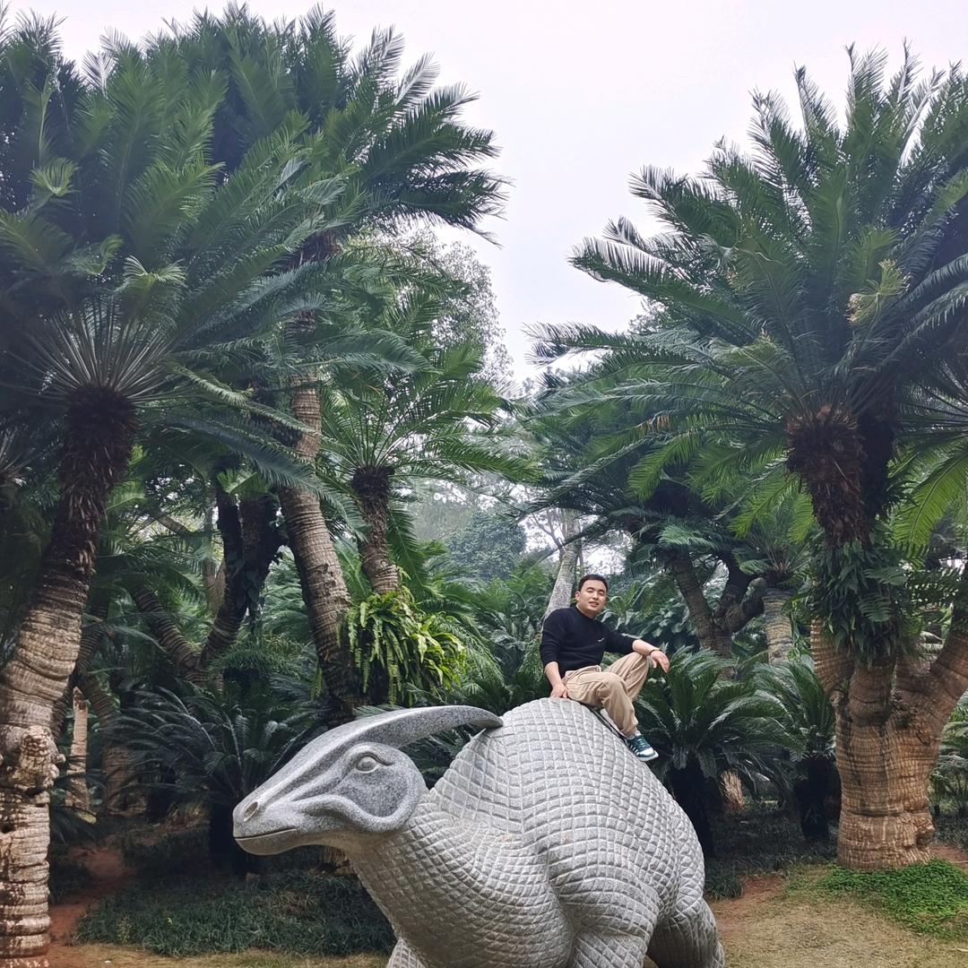 加油，共创美好的未来