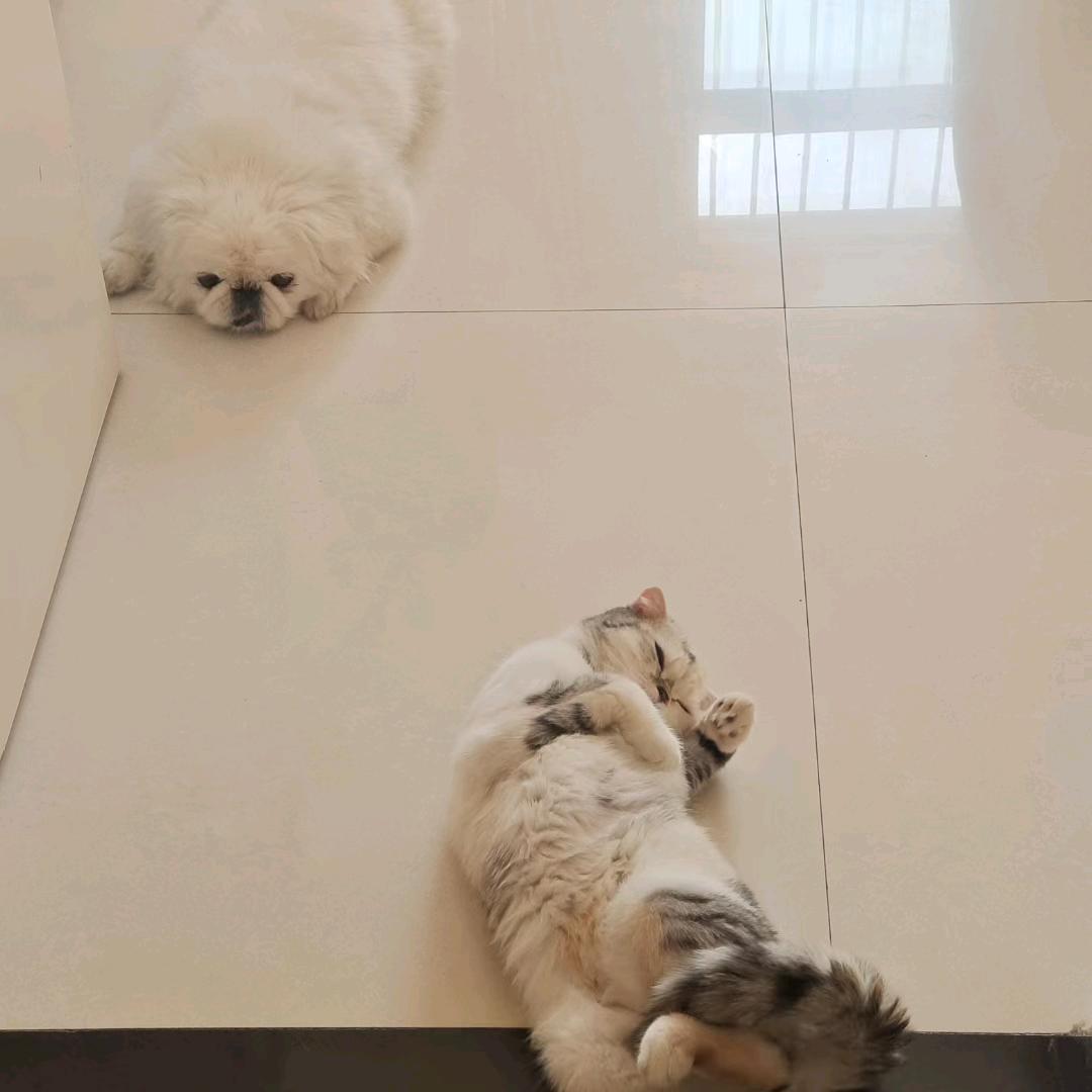 🏊🏻‍♀️水之舞💃🏻