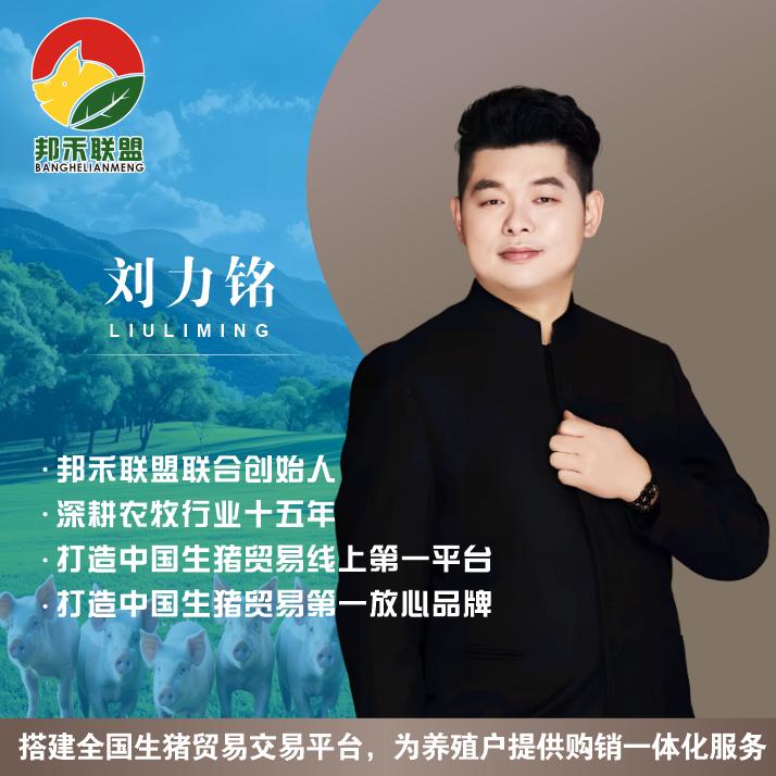 邦禾联盟-刘力铭