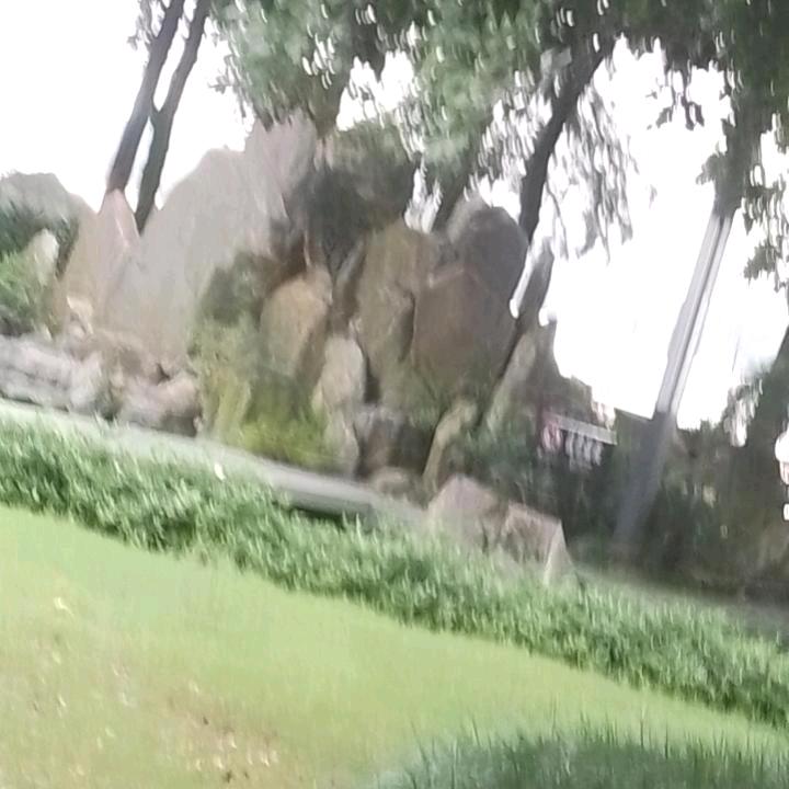 一枝玫瑰