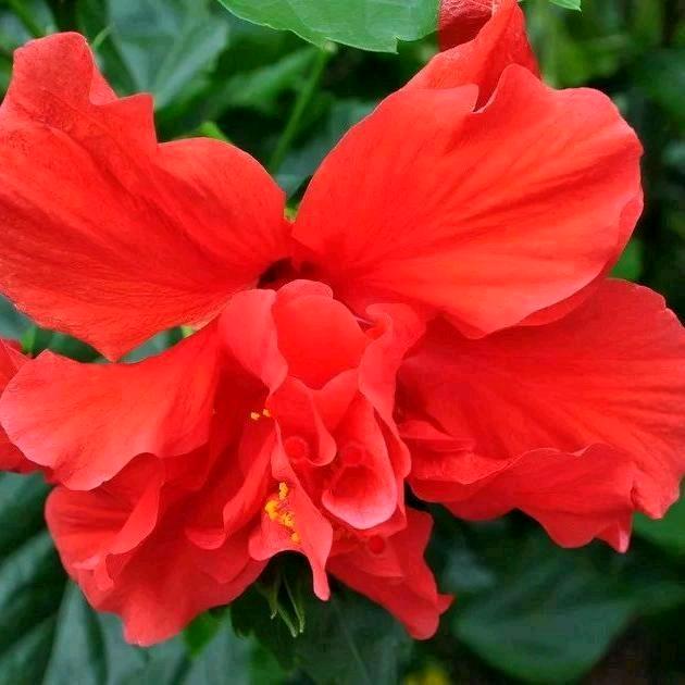 三川周姐🌹🌹