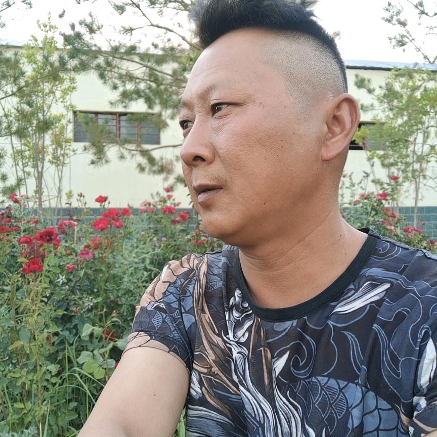 陈哥努力奋斗