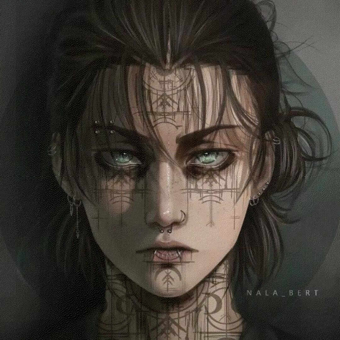 野鸽子🕊️