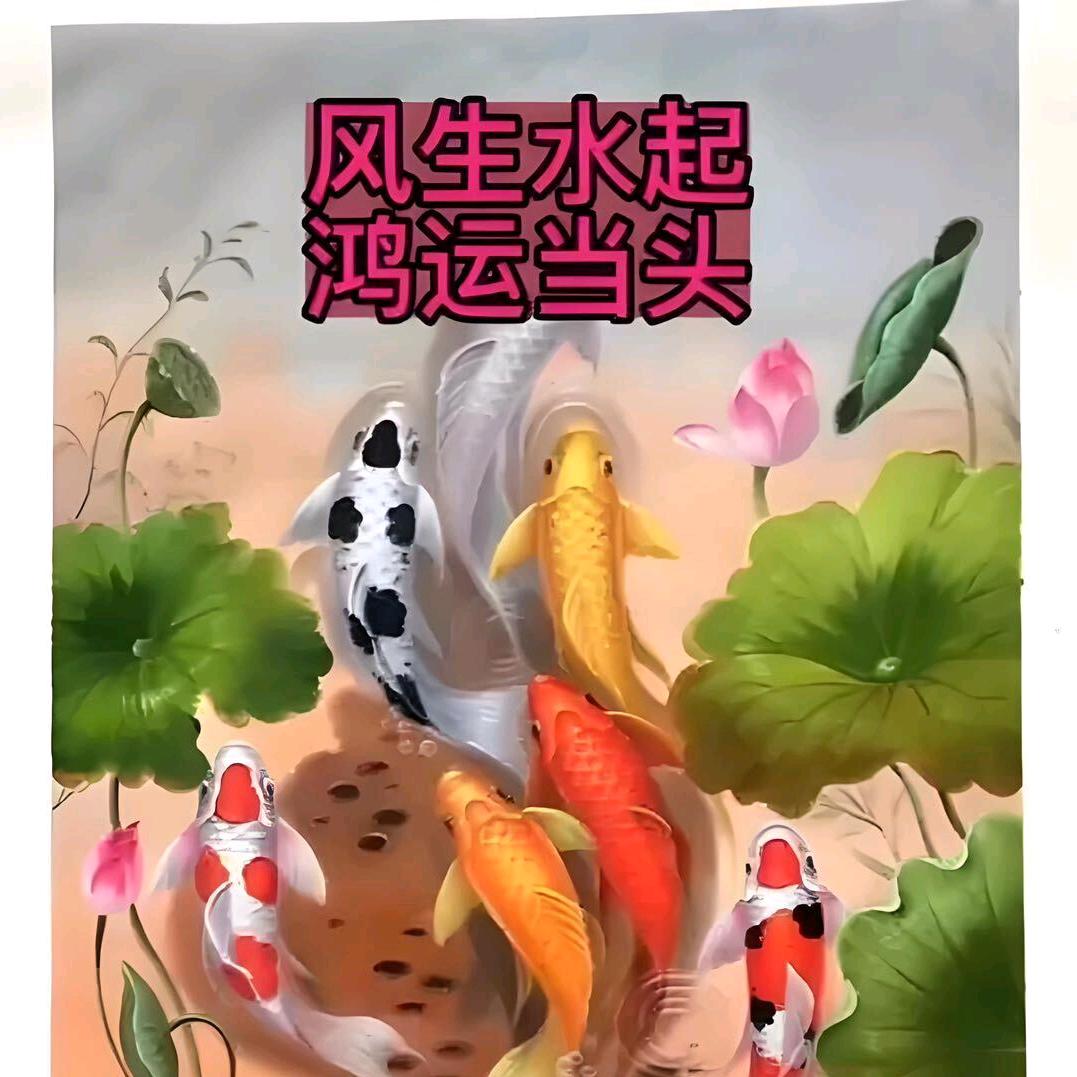 Ming123