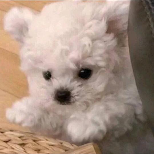 早睡